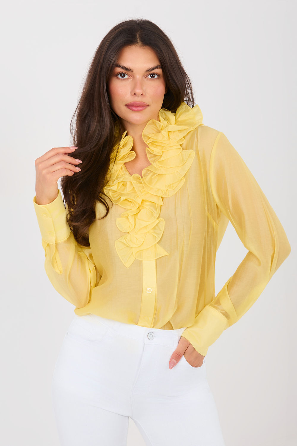 Sheer shirt