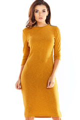 Fitted dress
